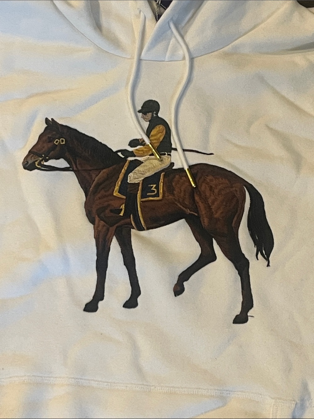Ralph Lauren Purple Label Large Horse Hoodie Made in Italy new Mens Size XXL - Picture 3 of 8